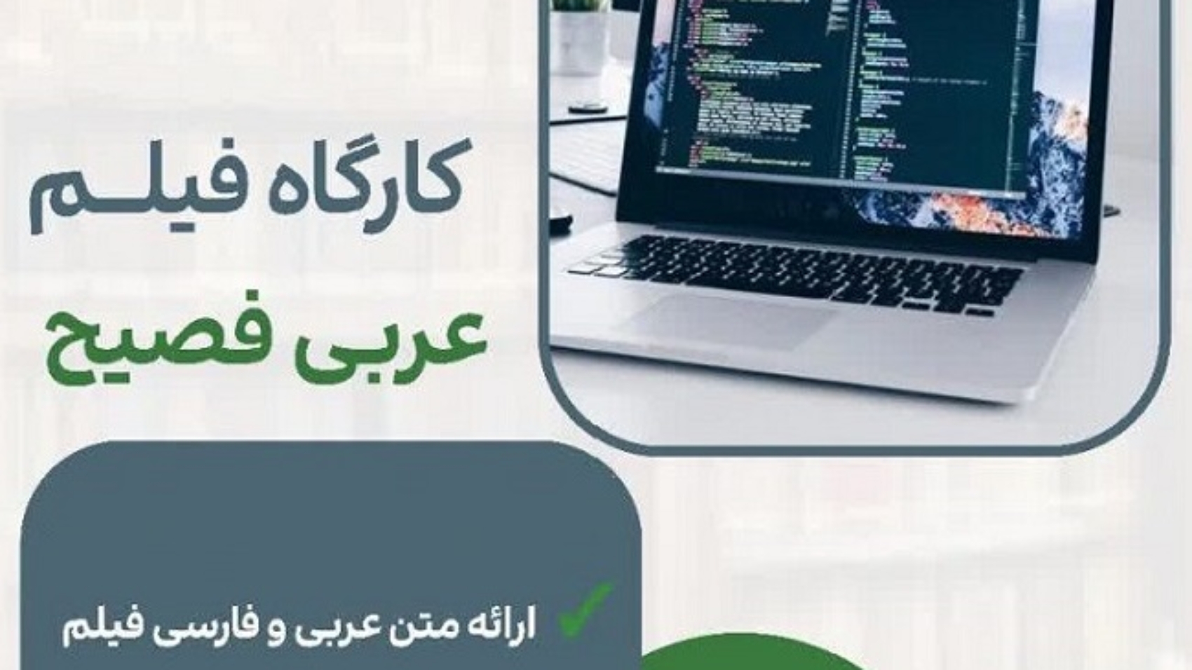 photo_2025-11-06_10-57-18-700x1024