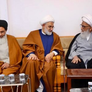 گزارش تصویری | دیدار مدیر عالی مؤسسه جبل‌الصبر و اساتید حوزه خراسان با آیت‌الله بشیر نجفی در عراق