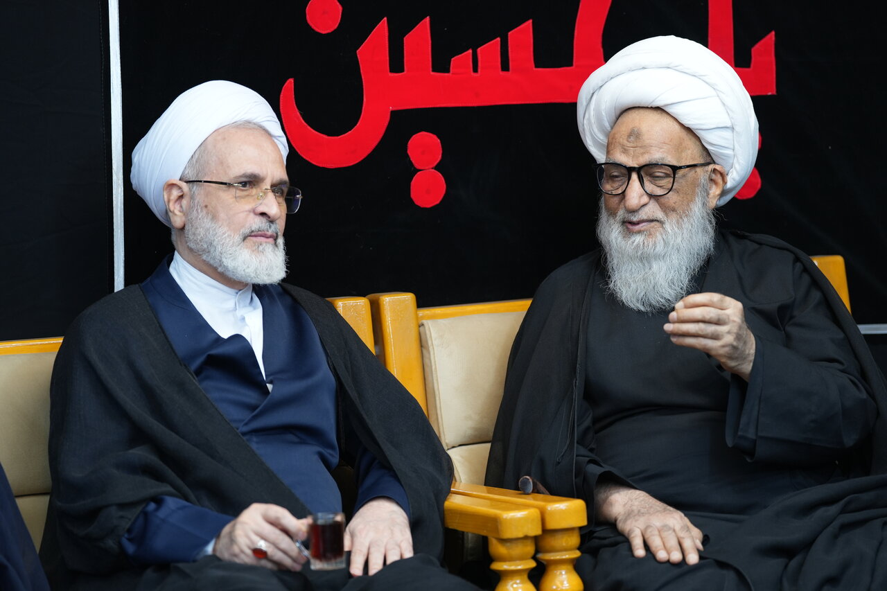 دیدار مدیر حوزه های علمیه با آیت الله العظمی بشیر نجفی